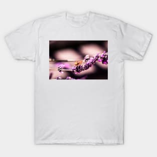 Fiery skipper butterfly on lavender T-Shirt